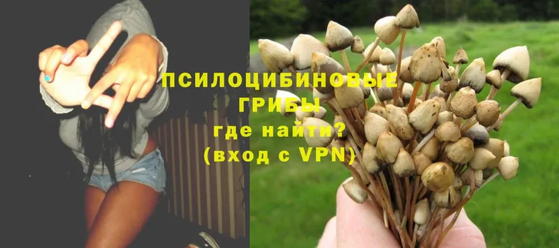 Галлюциногенные грибы MAGIC MUSHROOMS  Грязовец 